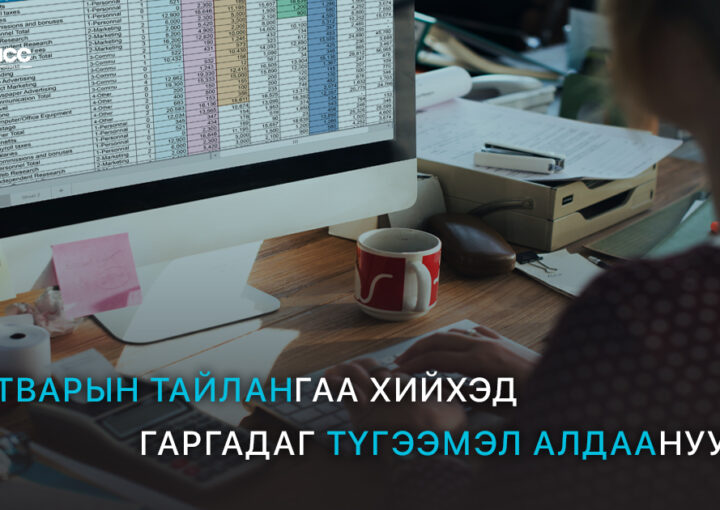 Татварын тайлангаа хийхэд гаргадаг түгээмэл алдаанууд